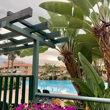 Piso Jardines Del Teide En El * Пуэрто-де-ла-Крус